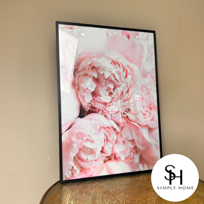 Pink Peony
