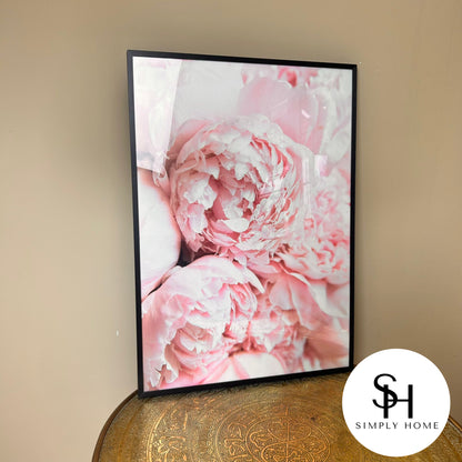 Pink Peony